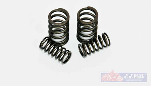 YYPANG Racing Valve Spring for Honda EX5