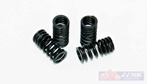 YYPANG Racing Valve Spring for Yamaha 135LC